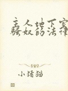 主人地下室惩罚骚奴的法律后果