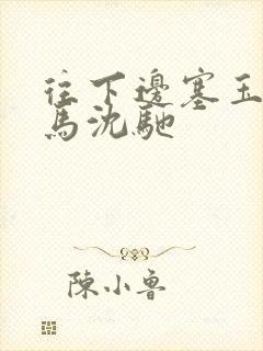 往下边塞玉器骑马沈驰