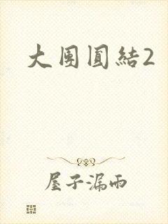 大团圆结2