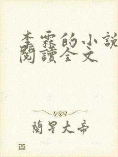 李霖的小说免费阅读全文