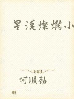 星汉灿烂小说