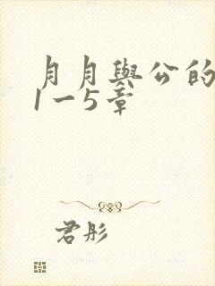 月月与公的激情1一5章