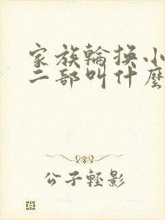 家族轮换小说第二部叫什么名字