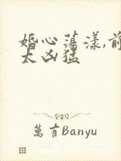 婚心荡漾,前夫太凶猛