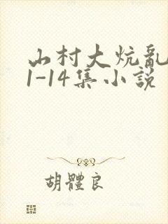山村大炕乱肉续1-14集小说