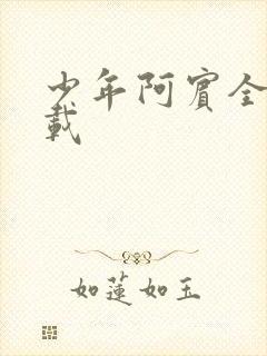 少年阿宾全集下载