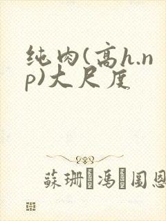 纯肉(高h.np)大尺度