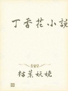 丁香花小说
