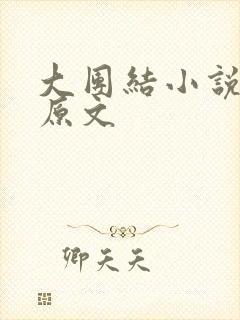 大团结小说阅读原文