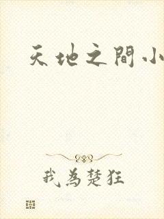 天地之间小说