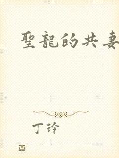 圣龙的共妻