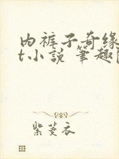 内裤子奇缘txt小说 笔趣阁