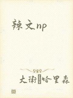 辣文np