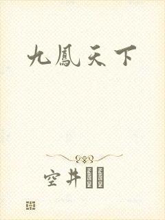 九凤天下