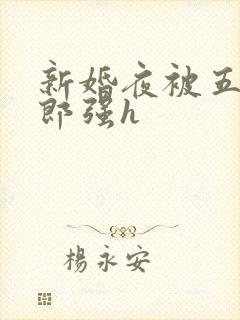 新婚夜被五个伴郎强h