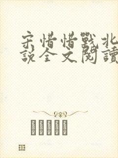 宋惜惜战北望小说全文阅读