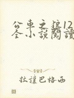 公车之狼12集全小说阅读