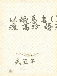 以婚为名 (军魂 高干 婚恋)