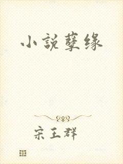 小说孽缘
