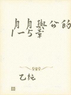 月月与公的激情1一5章