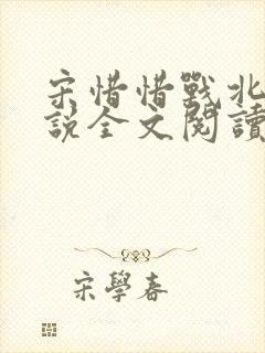 宋惜惜战北望小说全文阅读