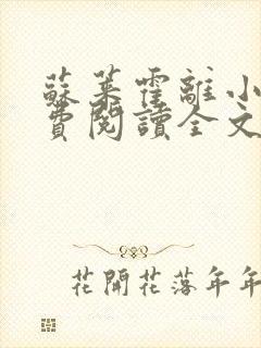 苏莱霍离小说免费阅读全文