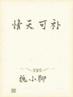 情天可补