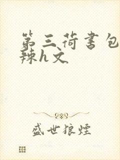 第三荷书包网高辣h文