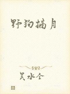 野狗摘月
