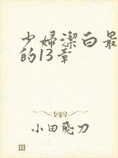 少妇洁白最刺激的13章