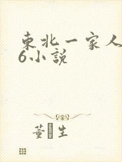 东北一家人1一6小说