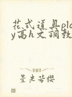 花式道具play高h文调教