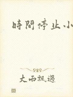 时间停止小说