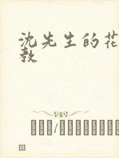 沈先生的花式管教