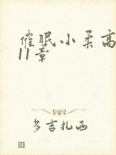 催眠小柔高达第11章