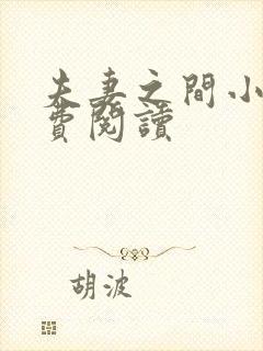 夫妻之间小说免费阅读