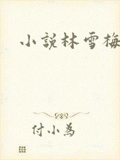 小说林雪梅
