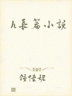 h长篇小说