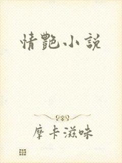 情艳小说