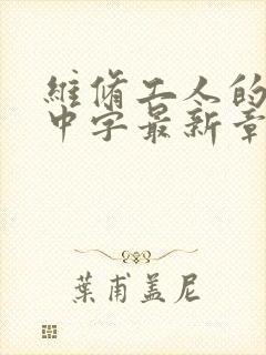 维修工人的绝遇中字最新章节