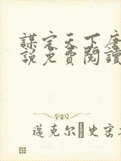 谋定天下唐诚小说免费阅读