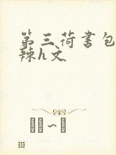 第三荷书包网高辣h文