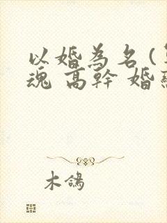 以婚为名 (军魂 高干 婚恋)