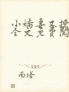 小娇妻又撩又甜全文免费阅读