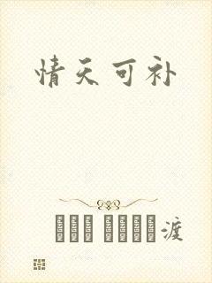 情天可补
