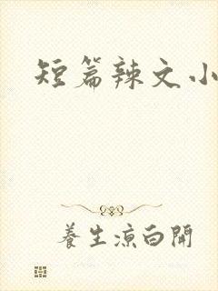 短篇辣文小说