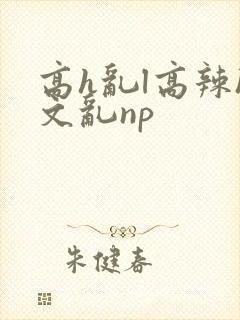 高h乱l高辣h文乱np