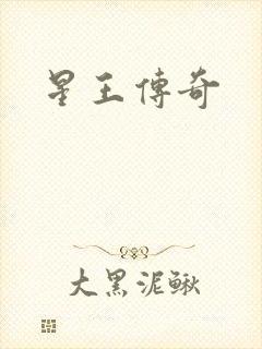 星王传奇