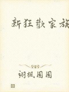 新狂欢家族小说