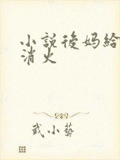 小说后妈给我消消火